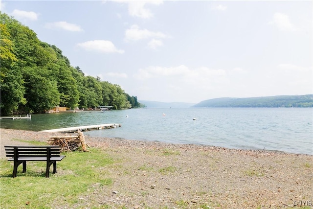 3271 Lanning Rd, Spafford, NY 13152 - water view