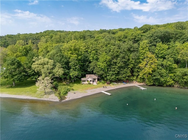 3271 Lanning Rd, Spafford, NY 13152 - aerial view of property and surrounding area with a forest and a nearby body of water