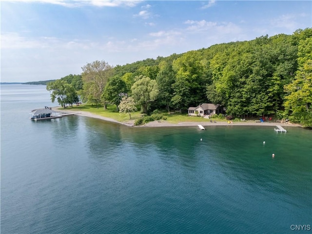 3271 Lanning Rd, Spafford, NY 13152 - water view featuring a forest