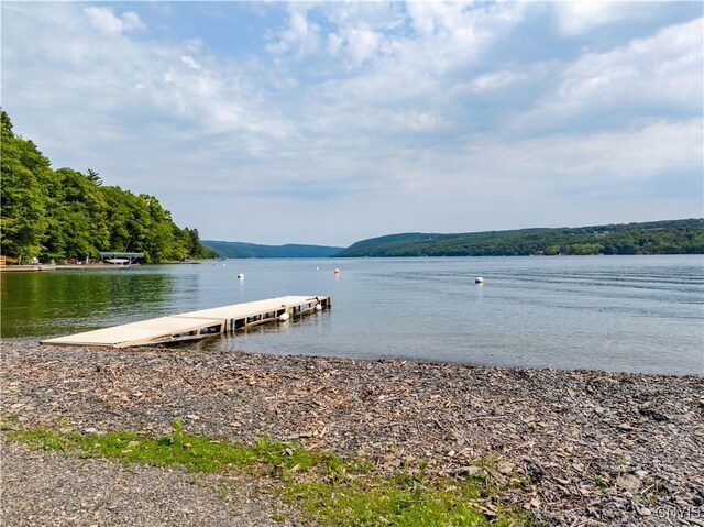 3271 Lanning Rd, Spafford, NY 13152 - dock featuring a water view