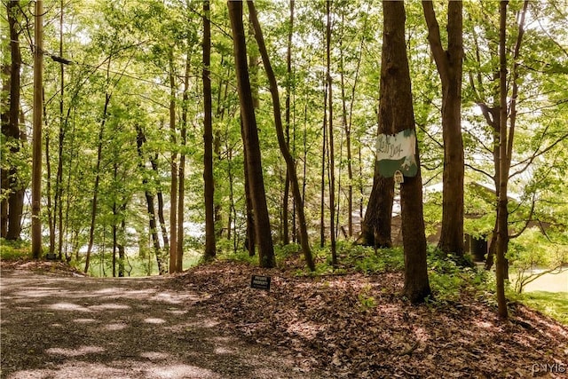 3271 Lanning Rd, Spafford, NY 13152 - view of undeveloped land