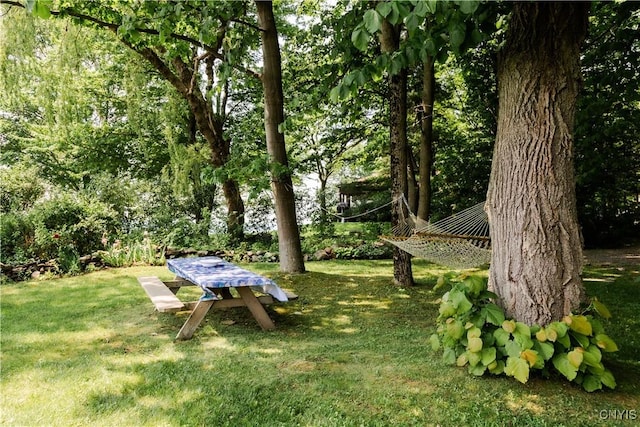3271 Lanning Rd, Spafford, NY 13152 - view of grassy yard