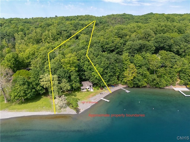3271 Lanning Rd, Spafford, NY 13152 - bird's eye view of a forest and a nearby body of water