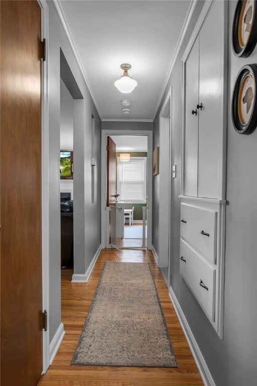 847 Starin Ave, Tonawanda-Town, NY 14223 - corridor featuring light wood-style flooring and crown molding