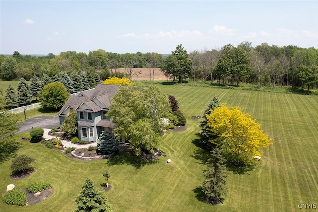 4244 County Line Rd, Skaneateles, NY 13152 - view from above of property