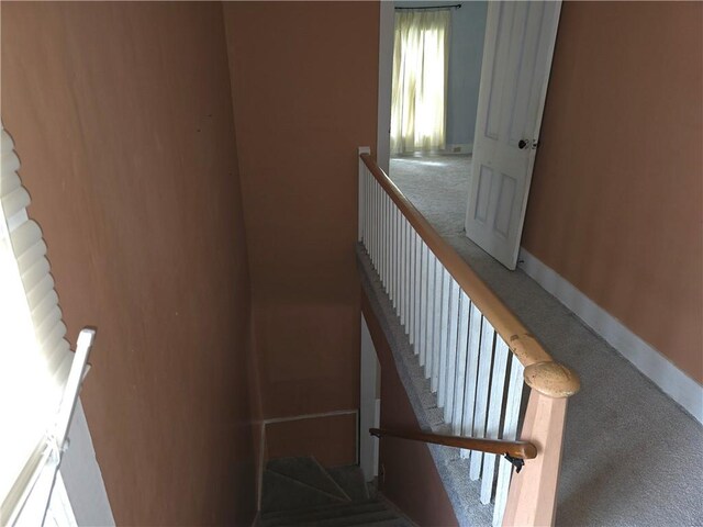 17 Lake St, Mount Morris, NY 14510 - stairs featuring carpet and baseboards