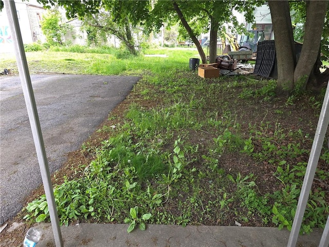 17 Lake St, Mount Morris, NY 14510 - view of yard