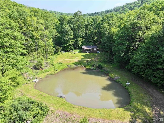 Indian Creek Rd, Olean-Town, NY 14760