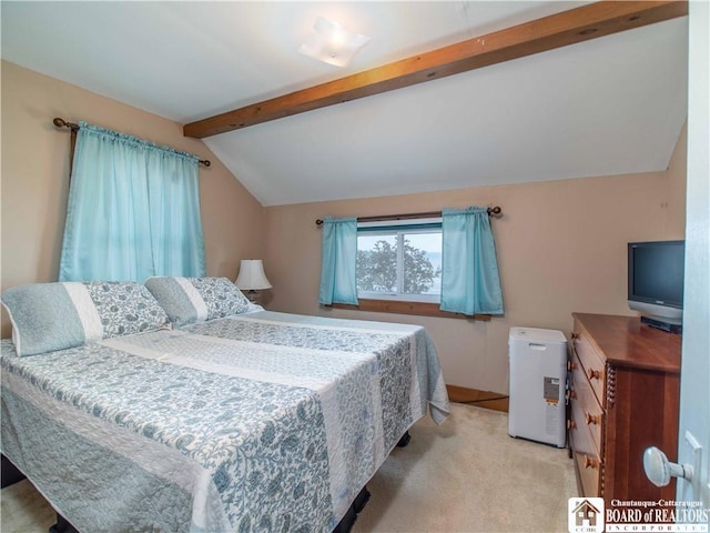 3971 Rte 430, Ellery, NY 14712 - bedroom featuring light carpet