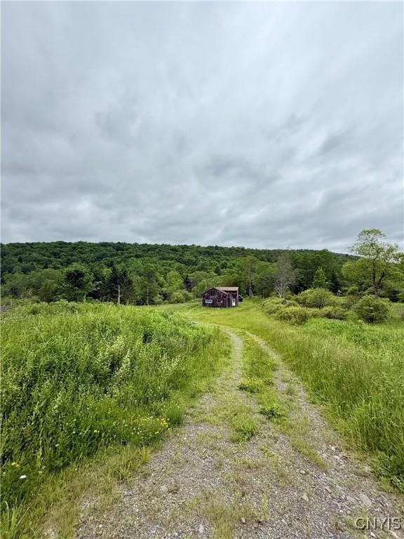 301 Pigeon Hill Rd, Plymouth, NY 13844 - view of dirt / gravel road featuring a wooded view