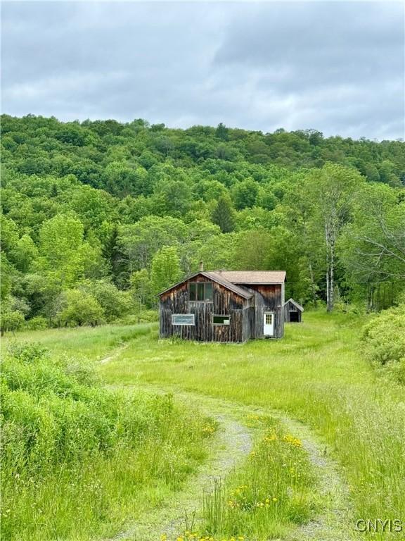 301 Pigeon Hill Rd, Plymouth, NY 13844 - view of yard with a wooded view, an outdoor structure, and a barn
