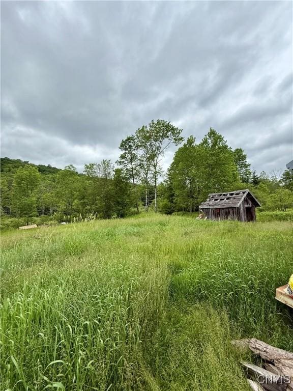301 Pigeon Hill Rd, Plymouth, NY 13844 - view of yard featuring a view of trees and an outbuilding