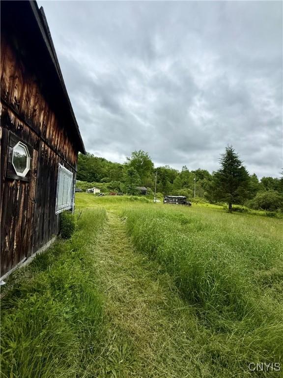 301 Pigeon Hill Rd, Plymouth, NY 13844 - view of yard