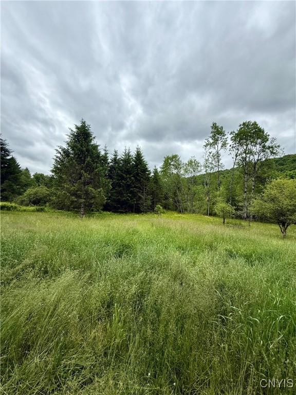 301 Pigeon Hill Rd, Plymouth, NY 13844 - view of wooded area