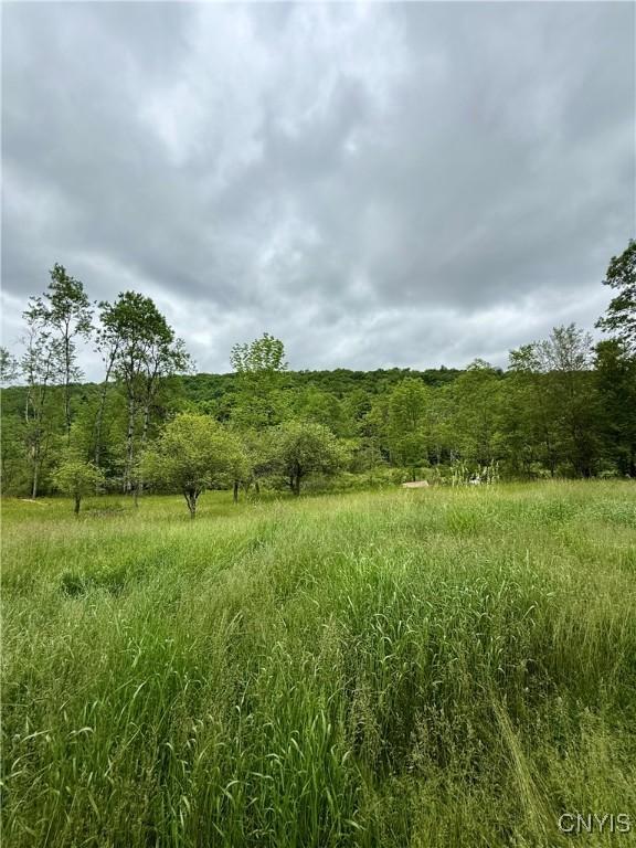 301 Pigeon Hill Rd, Plymouth, NY 13844 - view of wooded area
