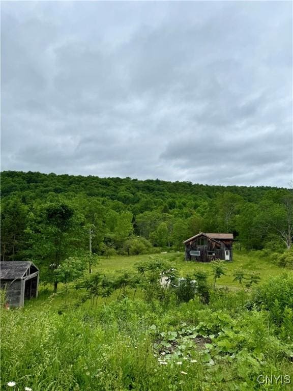 301 Pigeon Hill Rd, Plymouth, NY 13844 - view of yard featuring a view of trees and an outbuilding