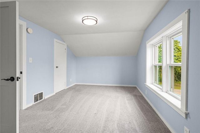 4709 Freeman Rd, Royalton, NY 14105 - additional living space with carpet floors and lofted ceiling