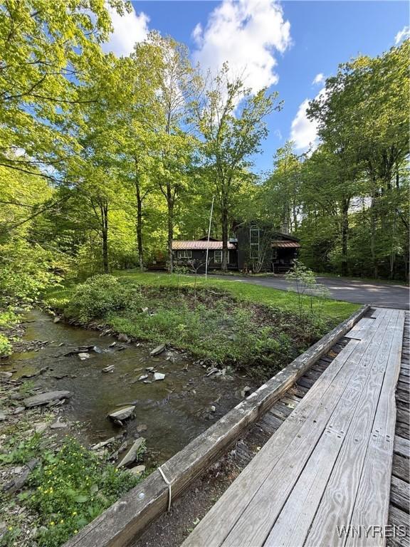 5393 Bryant Hill Rd, Ellicottville, NY 14731 - photo 1