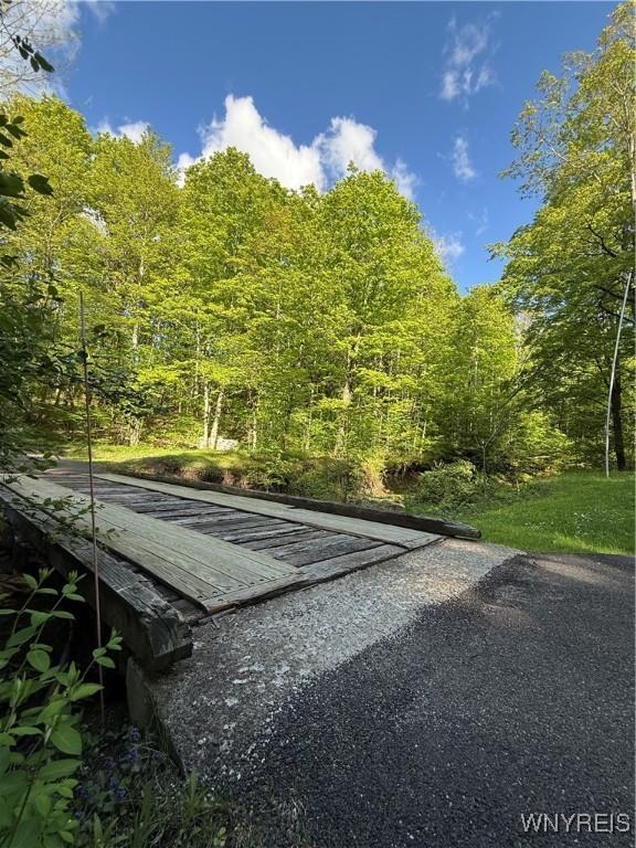 5393 Bryant Hill Rd, Ellicottville, NY 14731 - photo 5