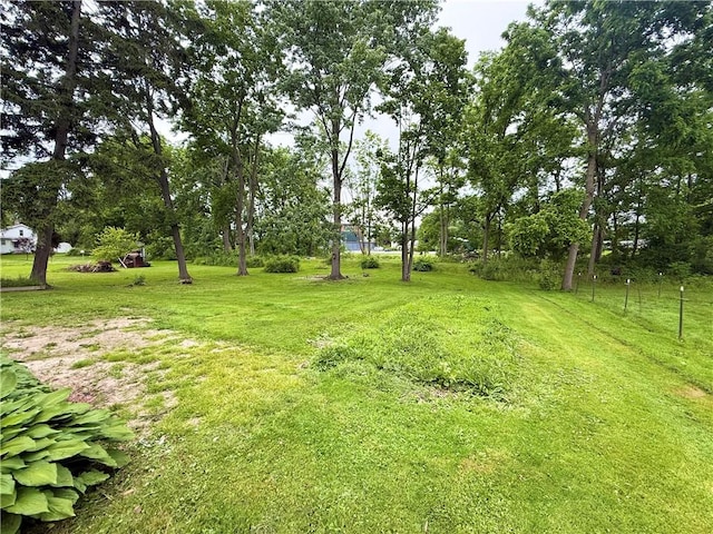 73 E River St, Fayette, NY 13165 - view of grassy yard
