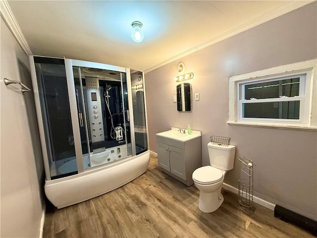 73 E River St, Fayette, NY 13165 - bathroom with crown molding, vanity, wood finished floors, and enclosed tub / shower combo