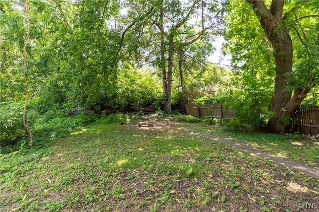 221.5 Lakeview Ave, Syracuse, NY 13204 - view of yard