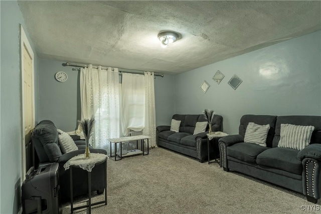 220 Lakeview Ave, Syracuse, NY 13204 - living area featuring carpet floors and a textured ceiling