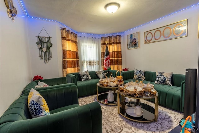 220 Lakeview Ave, Syracuse, NY 13204 - view of living room