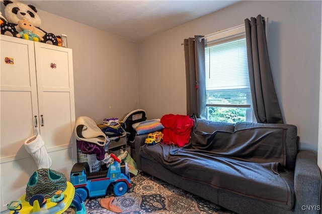220 Lakeview Ave, Syracuse, NY 13204 - playroom featuring plenty of natural light