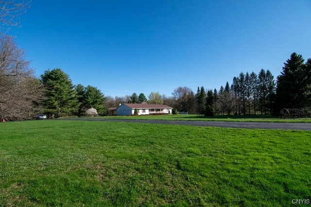 462 Hacadam Rd, Frankfort, NY 13456 - view of grassy yard