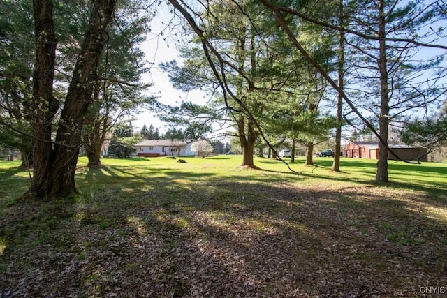 462 Hacadam Rd, Frankfort, NY 13456 - view of green lawn