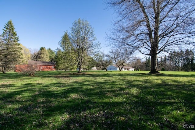 462 Hacadam Rd, Frankfort, NY 13456 - view of green lawn
