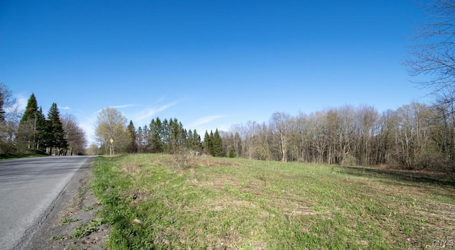 462 Hacadam Rd, Frankfort, NY 13456 - view of asphalt road featuring a forest view