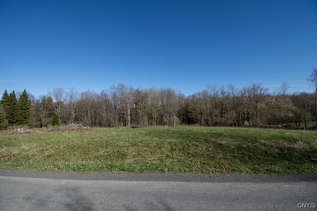 462 Hacadam Rd, Frankfort, NY 13456 - view of woods