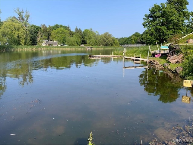 926 Bluff Rd, Carlton, NY 14571 - water view with a boat dock and a heavily wooded area