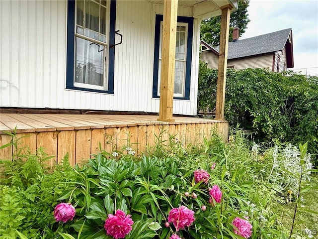 19 Elm Ave, Homer, NY 13077 - view of side of property featuring covered porch