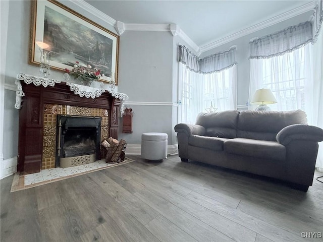 19 Elm Ave, Homer, NY 13077 - living room featuring crown molding, wood finished floors, and a fireplace