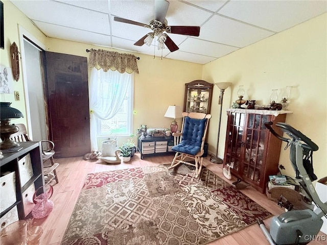 19 Elm Ave, Homer, NY 13077 - living area with a paneled ceiling, wood finished floors, and a ceiling fan