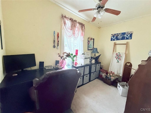 19 Elm Ave, Homer, NY 13077 - carpeted home office featuring a ceiling fan and crown molding