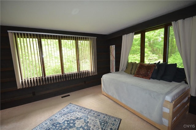 8130 E Genesee, Manlius, NY 13066 - photo 24