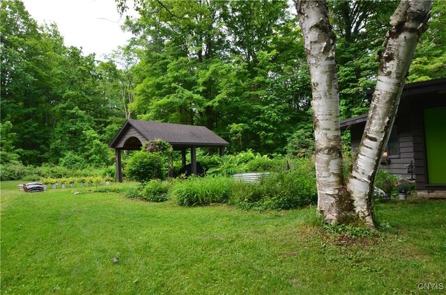8130 E Genesee, Manlius, NY 13066 - photo 15