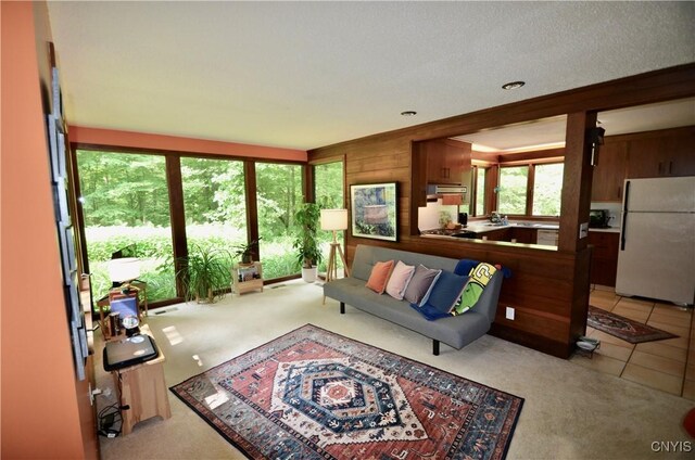 8130 E Genesee, Manlius, NY 13066 - photo 16