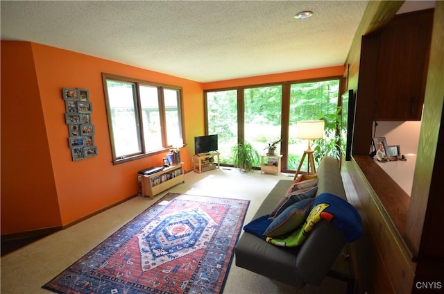 8130 E Genesee, Manlius, NY 13066 - photo 22