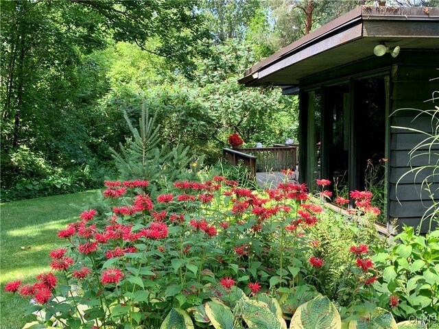 8130 E Genesee, Manlius, NY 13066 - photo 29