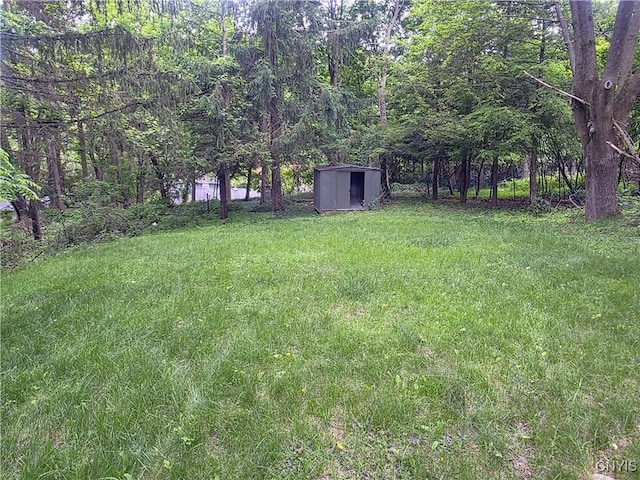 244 Scottholm Ter, Syracuse, NY 13224 - view of green lawn featuring a storage shed