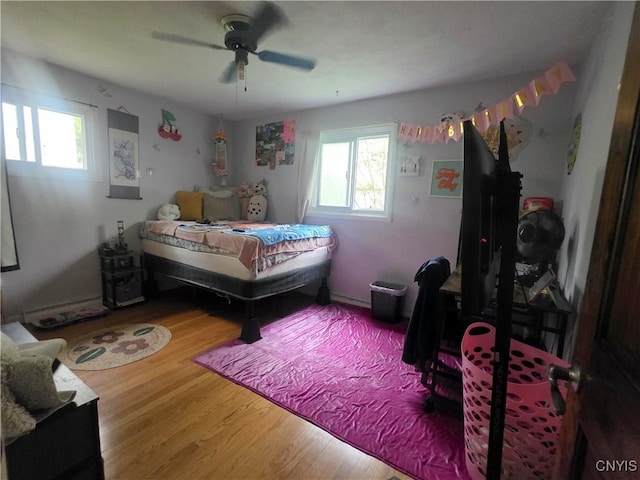 244 Scottholm Ter, Syracuse, NY 13224 - bedroom with wood finished floors and a ceiling fan