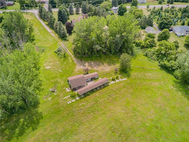17071 Ridge Rd, Murray, NY 14470