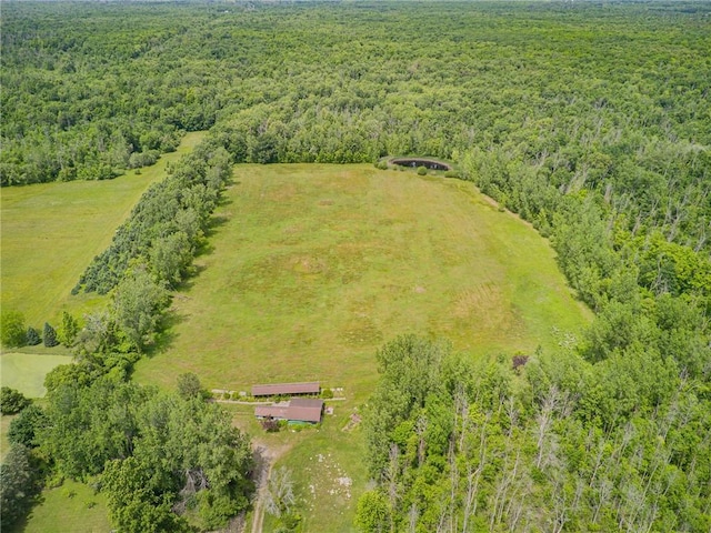 17071 Ridge Rd, Murray, NY 14470