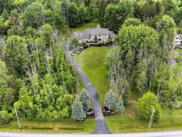 1010 Plank Rd, Penfield, NY 14580 - view of subject property