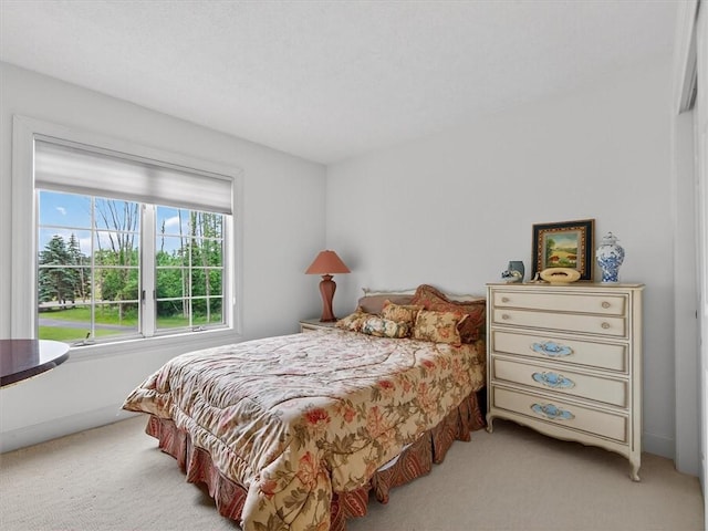 1010 Plank Rd, Penfield, NY 14580 - bedroom featuring light carpet